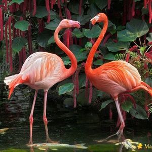 Meet your Posher, Tabitha